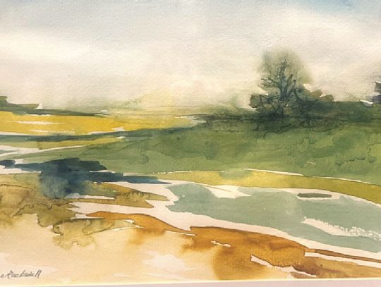 Prairie Land Conservancy Art Talk: 'Land as Inspiration' by Janice Rockwell