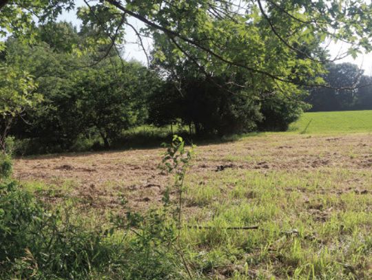 Prairie Restoration Partnership Launches in Macomb