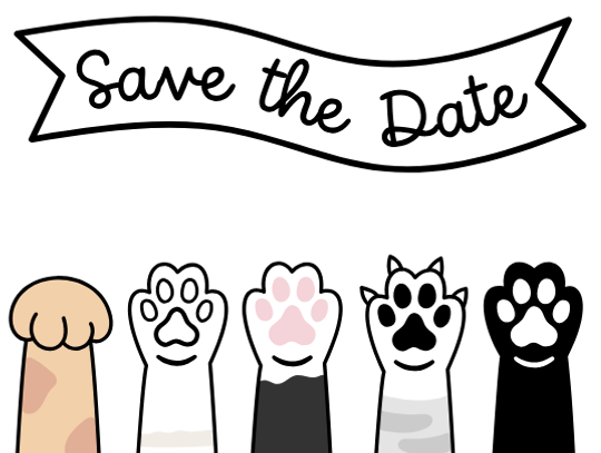 Save the Date: Humane Society Casino Night – Calling All Sponsors & Dealers