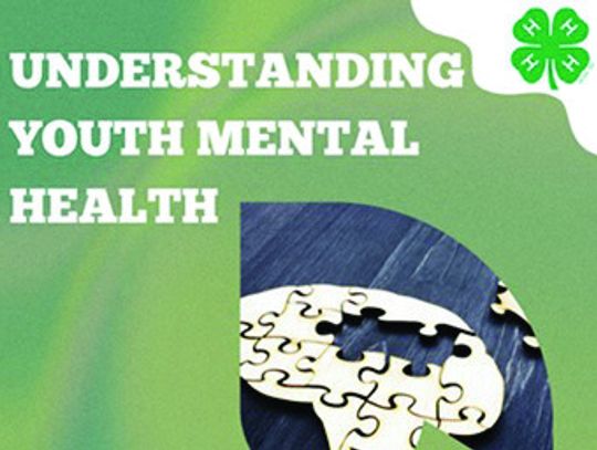 SRC Offers Youth Mental Health Workshop