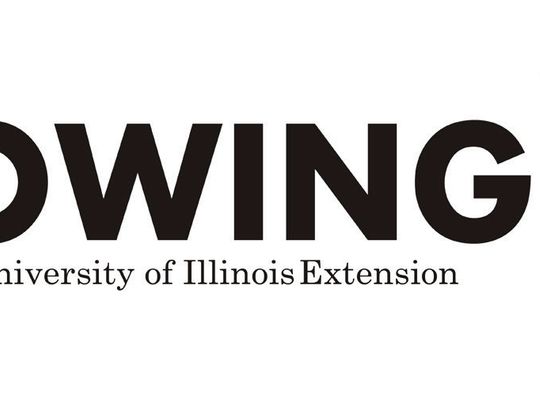 Start a Native Prairie Garden Using Seeds