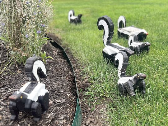 'Stinkin' Cute' Yard Display Catches Eye of Passersby