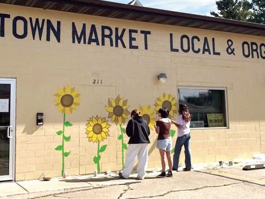 Student Artists Bring Sunshine & Cheer to the Macomb Food Co-op