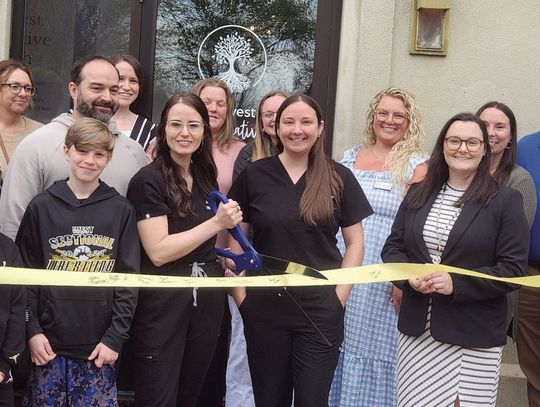 The Ambassador Committee