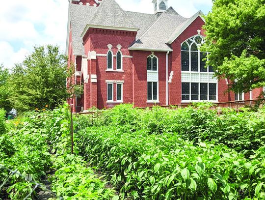 The Giving Gardens Becomes an Independent Nonprofit