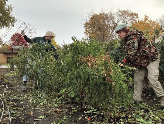 The Giving Gardens Shares Another Successful Season