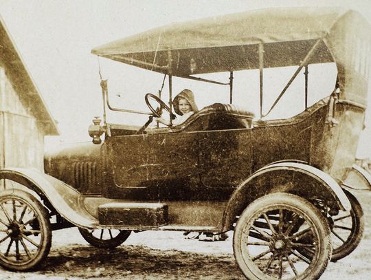 The Last Sunshine Farmer: Alvin John Curtis