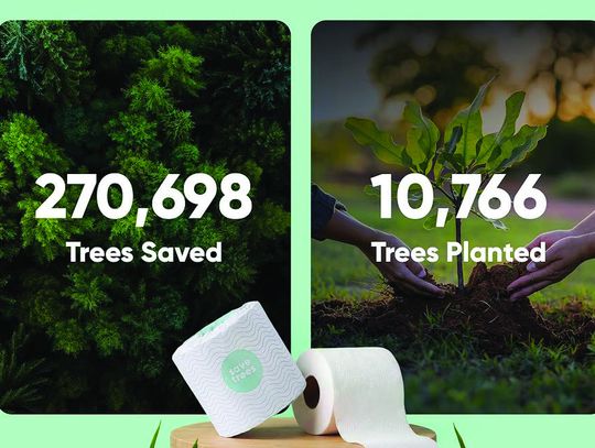 The Rise of TreeFree Toilet Paper