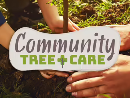 Tree Planting Workshop Set for Nov. 1