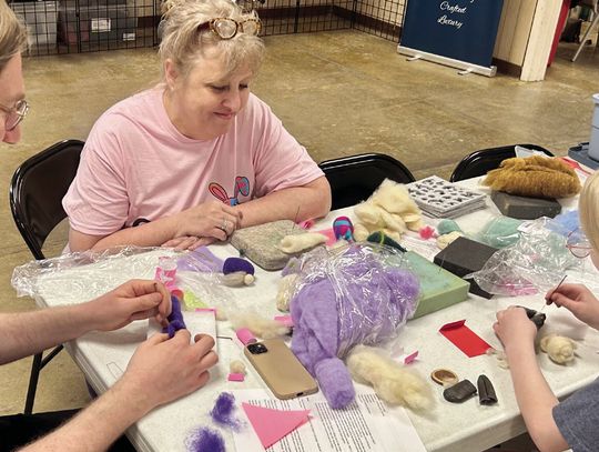 Western Illinois Fiber Festival Highlights