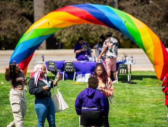 WIU LGBT*QA's Big Picture Picnic Set For Friday