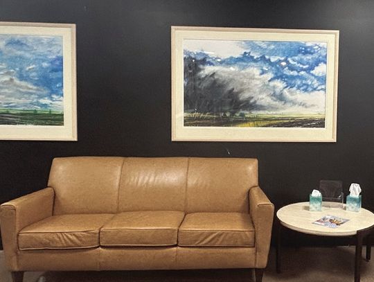 YMCA Displays Art by WIU Professor Emeritus Fred Jones