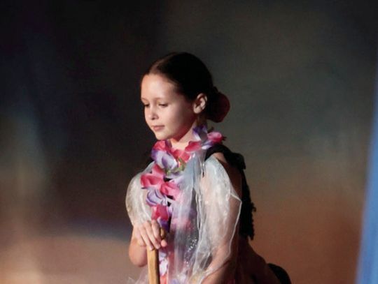 YMCA of McDonough County 'Cirque Du Soiree' Fundraiser Raises Over $5k for Local Org