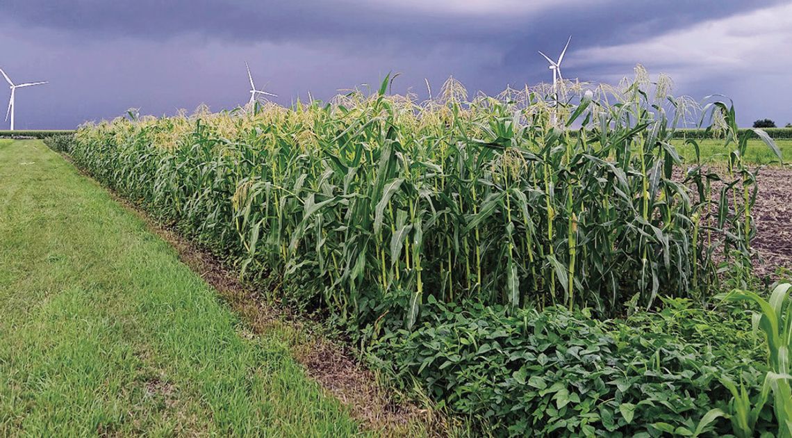 2025 Organic Field Day Set For Aug. 12 2025 Organic Field Day Set For Aug. 12