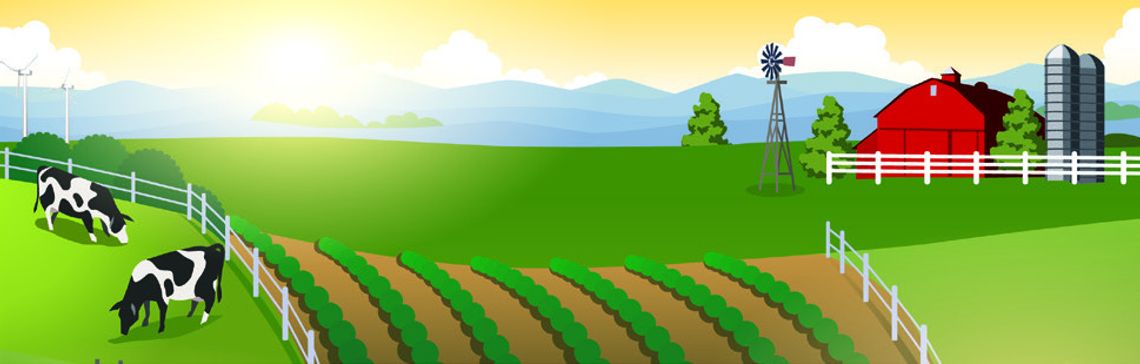 After the Chores are Done... After the Chores are Done...