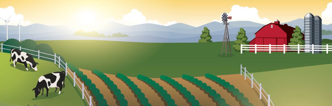 After the Chores are Done... After the Chores are Done...