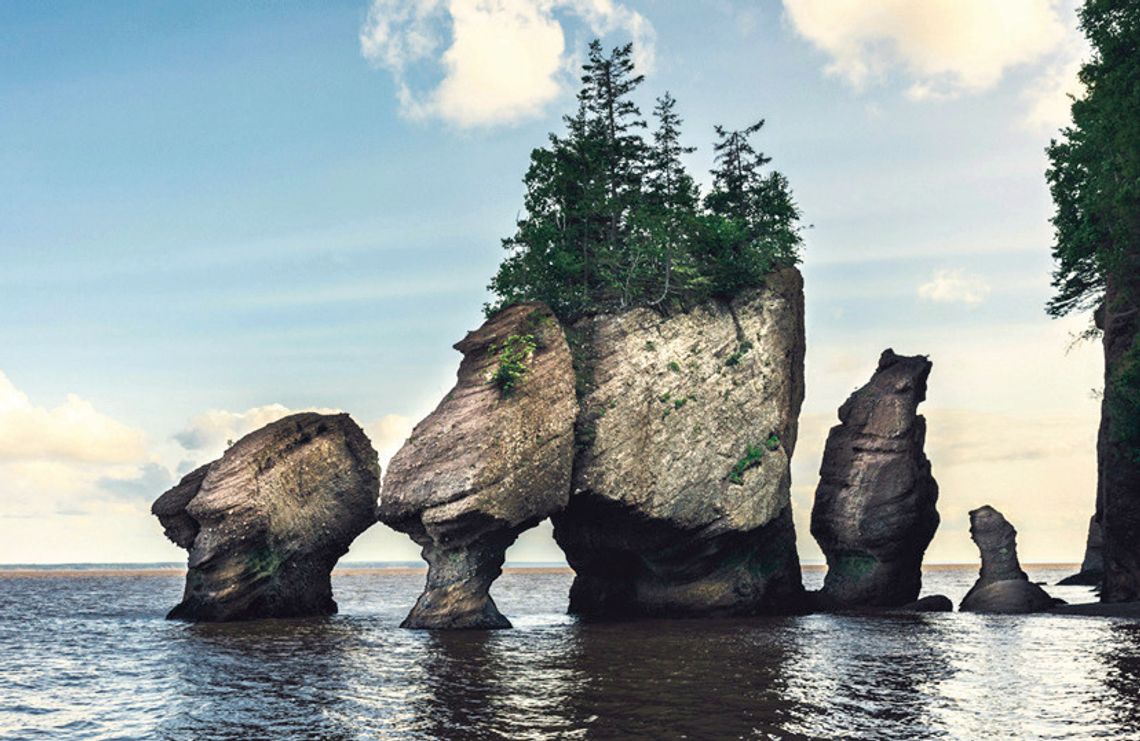 Experience Canada’s Coastal Wonders with YMCA Senior Center