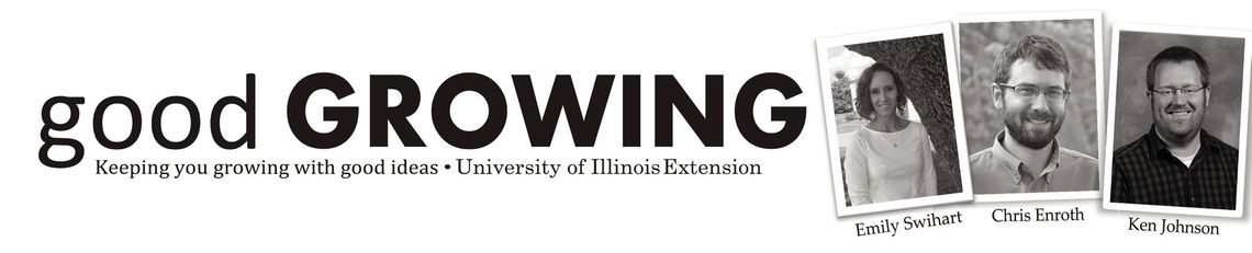 Exploding Trees? A Closer Look at Frost Cracking