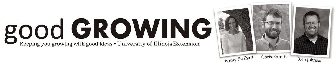 Flooded Gardens: Safety, Cleanup, and Recovery Flooded Gardens: Safety, Cleanup, and Recovery