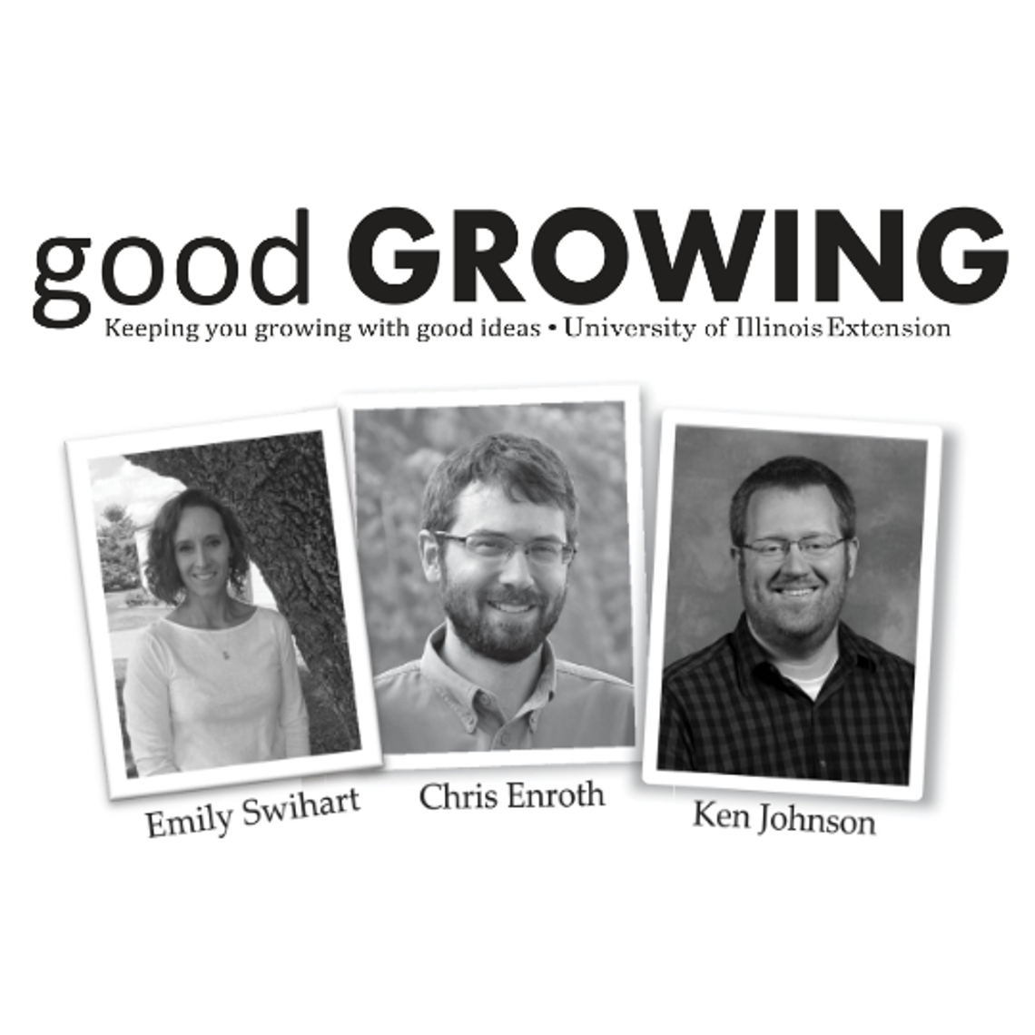 Growing Without Soil: Getting Started with Hydroponics at Home Growing Without Soil: Getting Started with Hydroponics at Home