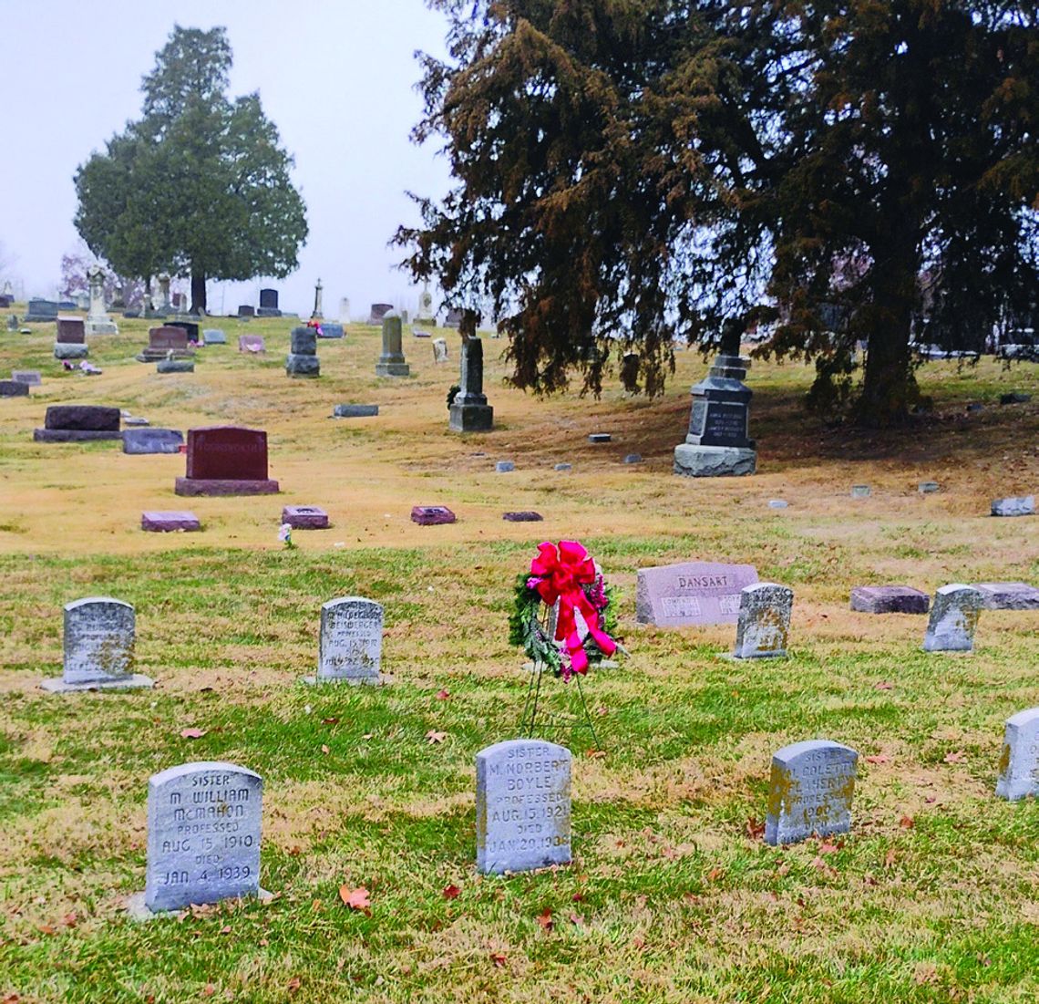 Honoring the Sisters of St. Francis Honoring the Sisters of St. Francis