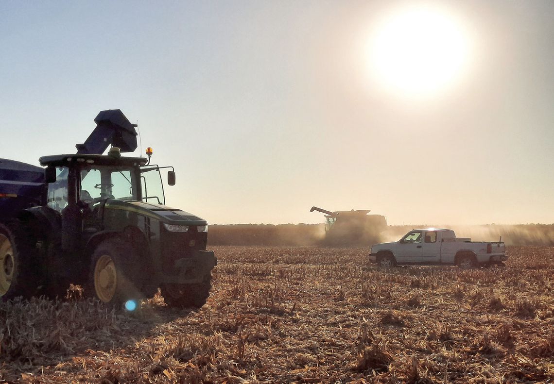 Landowner Series – Using a Flexible Cash Farm Lease