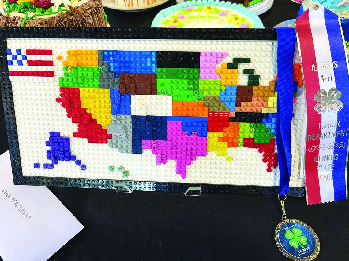Local 4-H Youth Shine at Illinois State 4-H Fair