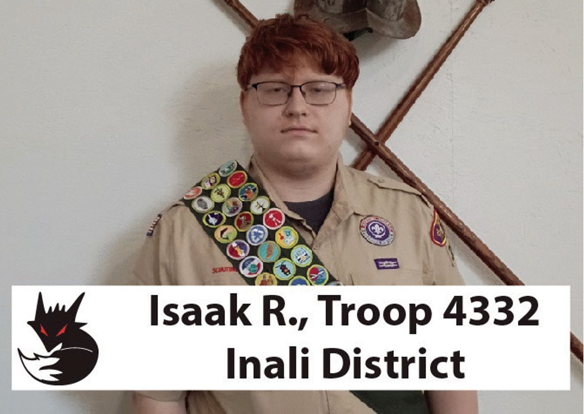 Local Eagle Scouts Complete Projects