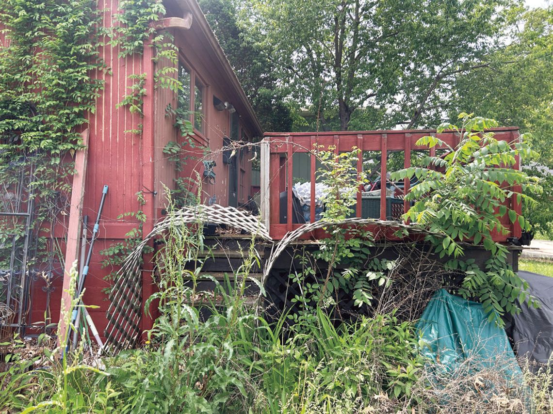 Macomb Animal Hoarding Case: One Year Later Macomb Animal Hoarding Case: One Year Later