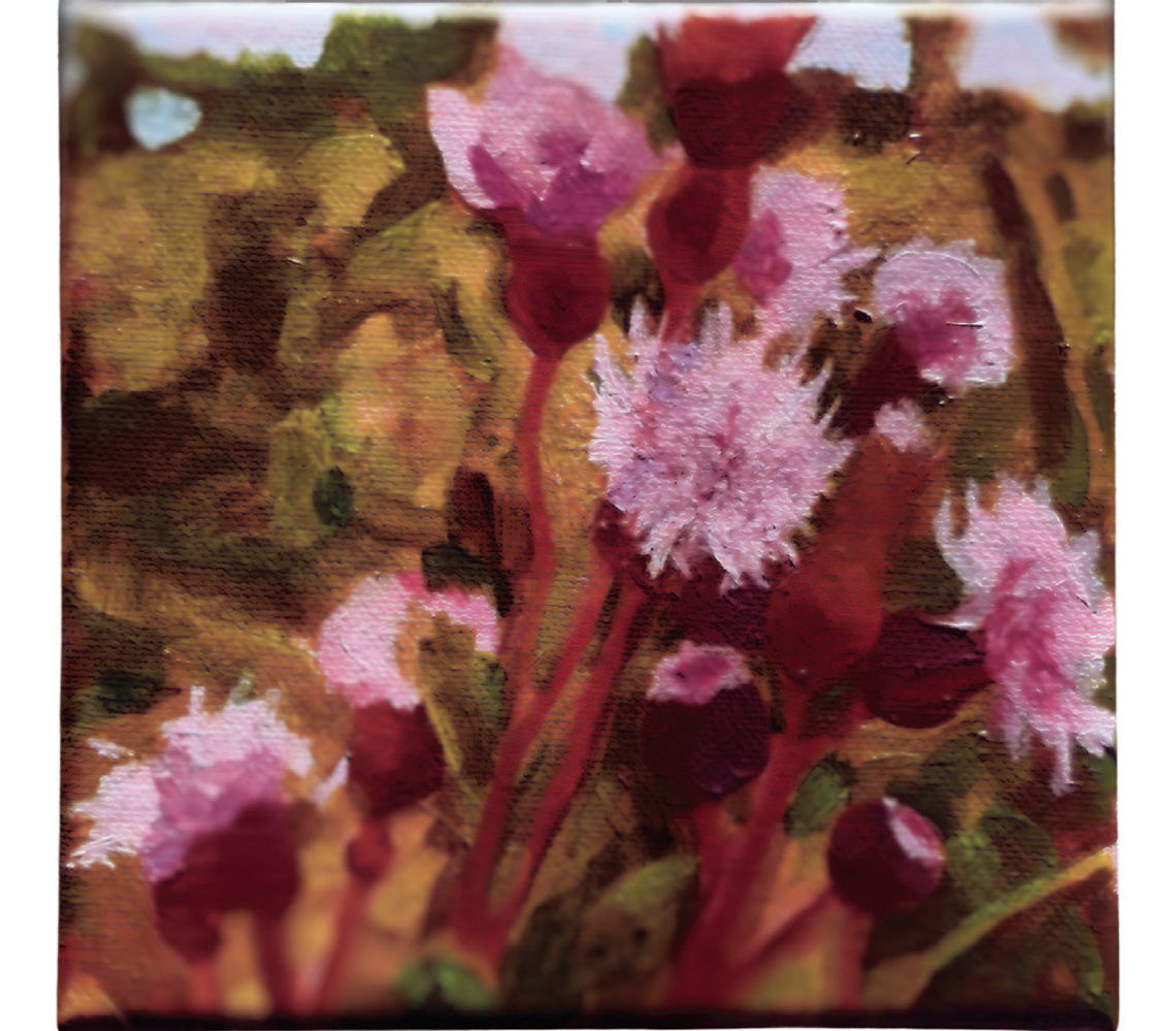 New 6 x 6 Project Showcases Creativity, Community