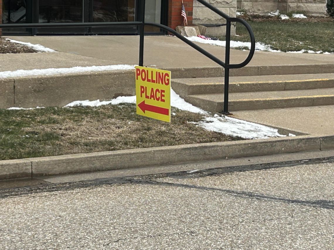 Macomb Poll Worker Relieved of Duties on Election Day