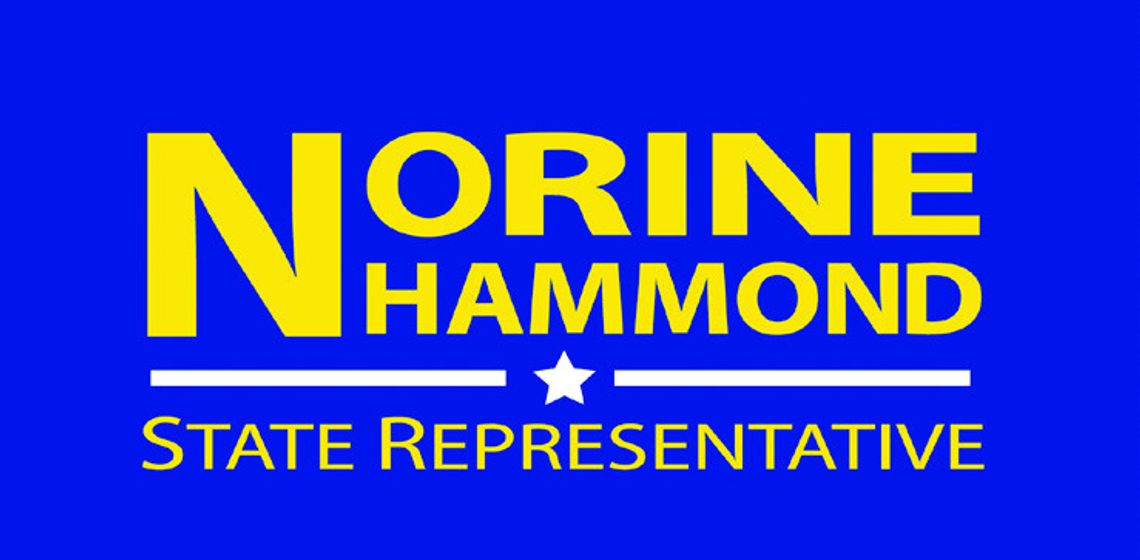 Rep. Norine Hammond Announces Reelection Bid