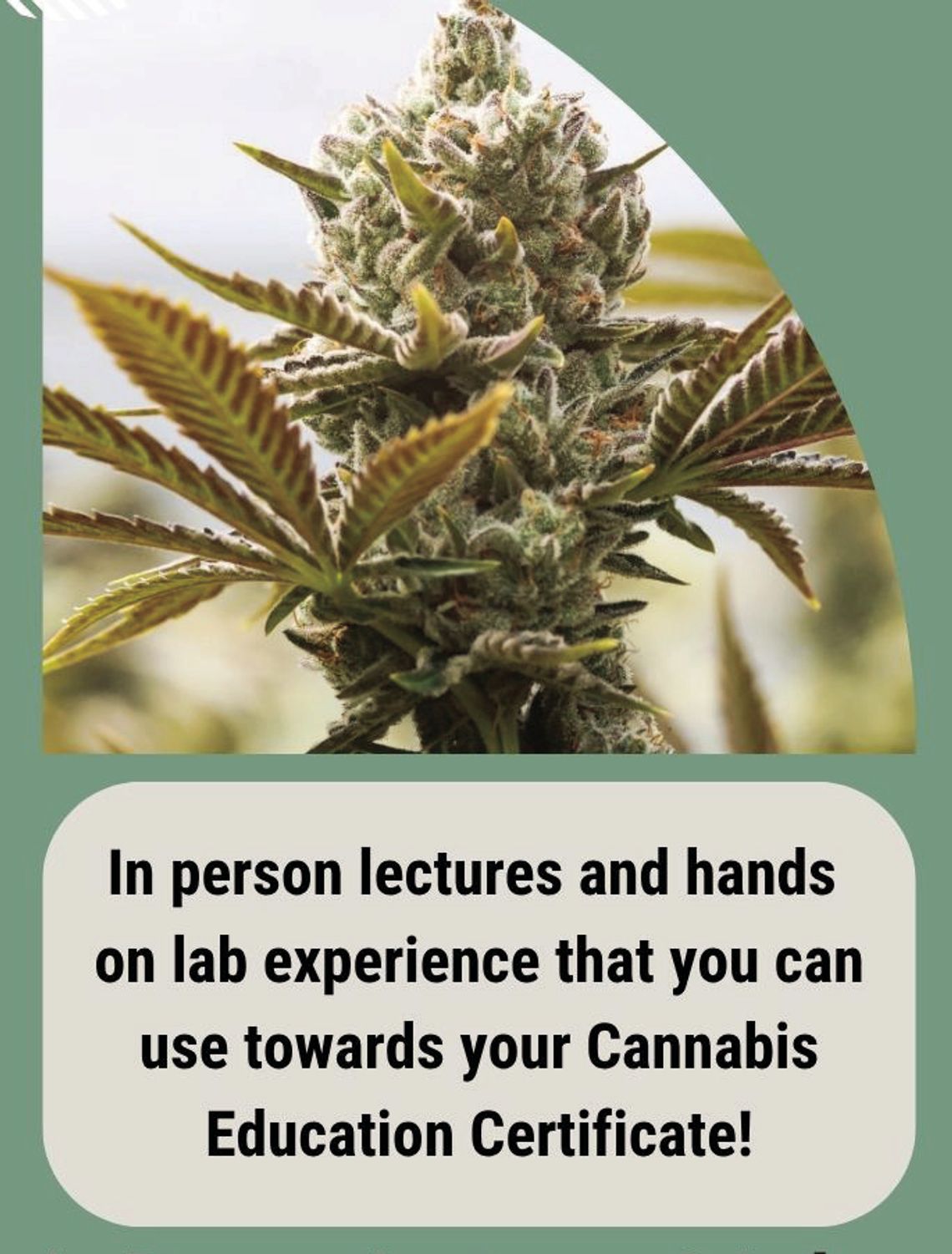 SRC Offers Cannabis Horticulture Processing Class SRC Offers Cannabis Horticulture Processing Class
