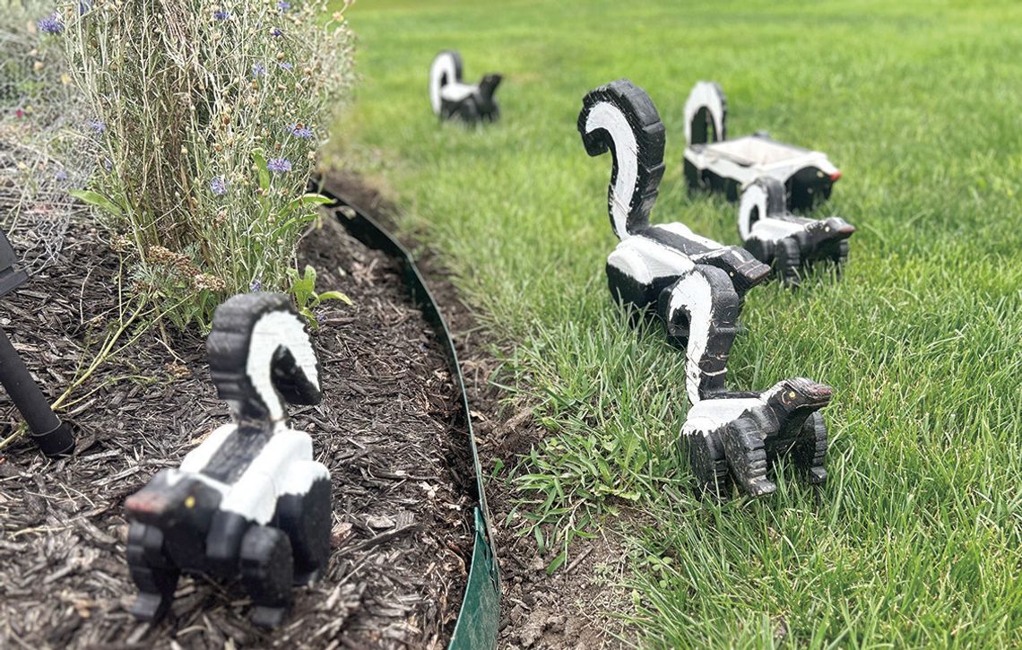 'Stinkin' Cute' Yard Display Catches Eye of Passersby 'Stinkin' Cute' Yard Display Catches Eye of Passersby