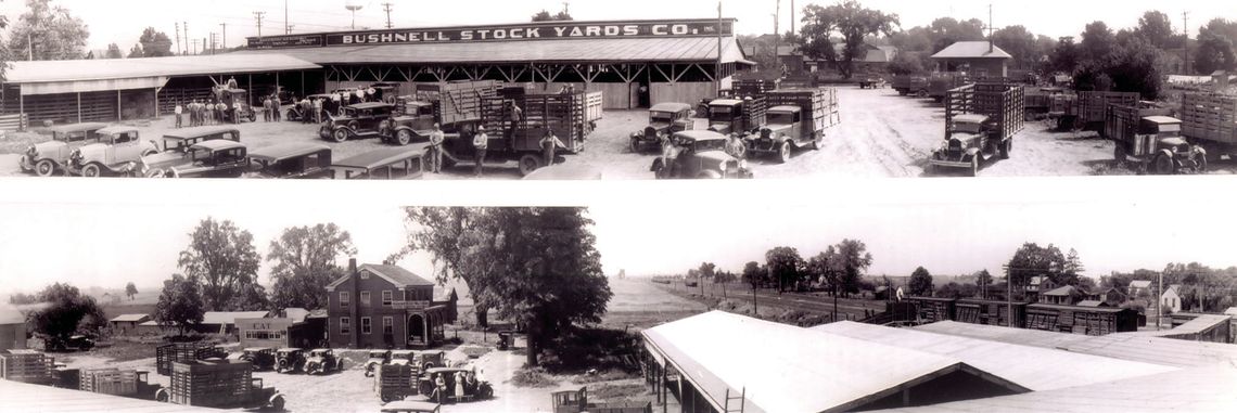 The Bushnell Stockyards 1928 - 1978