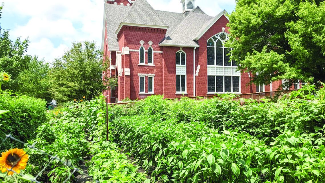 The Giving Gardens Becomes an Independent Nonprofit The Giving Gardens Becomes an Independent Nonprofit