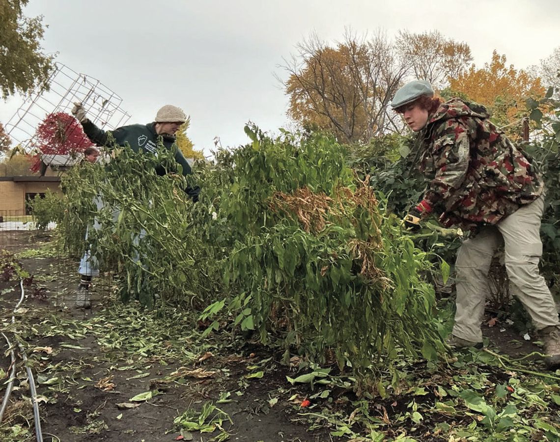 The Giving Gardens Shares Another Successful Season The Giving Gardens Shares Another Successful Season