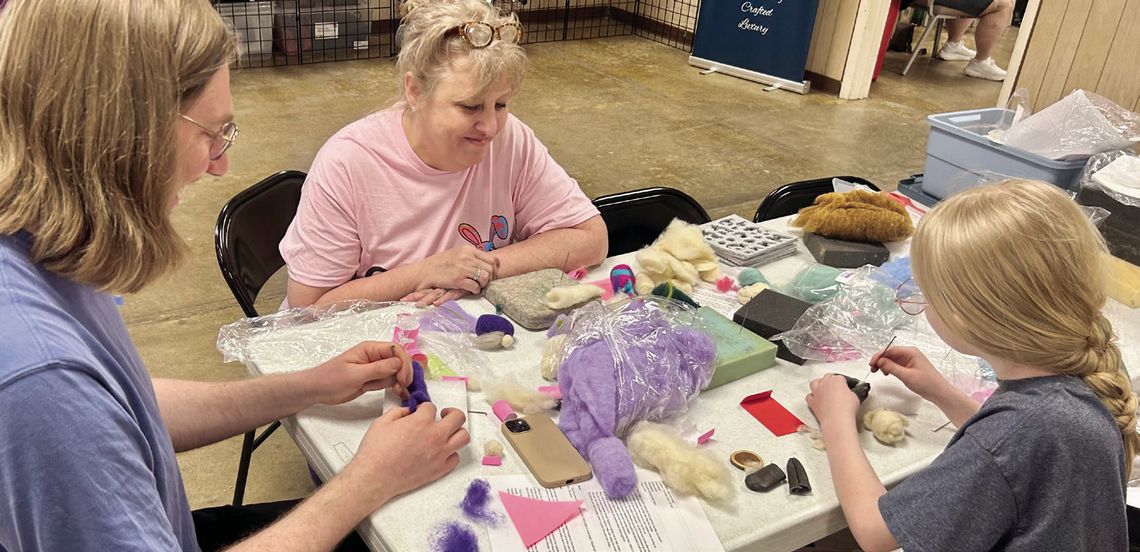 Western Illinois Fiber Festival Highlights