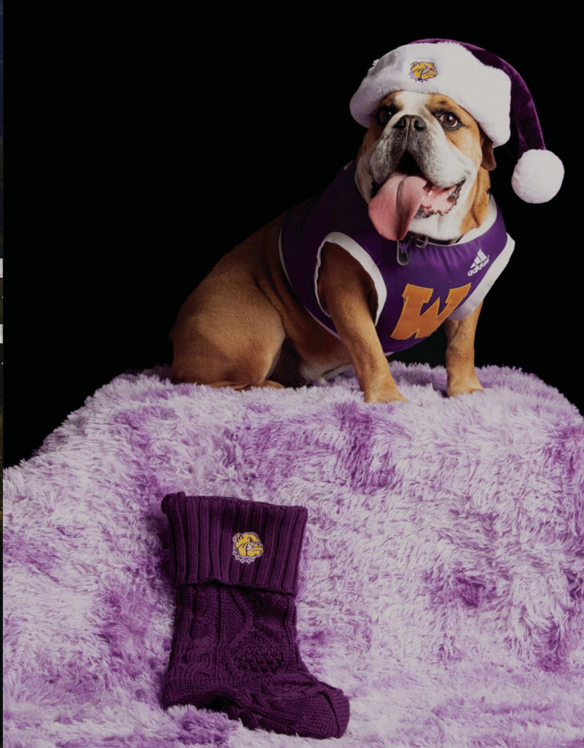 Year-End Support Makes a Lasting Impact at WIU